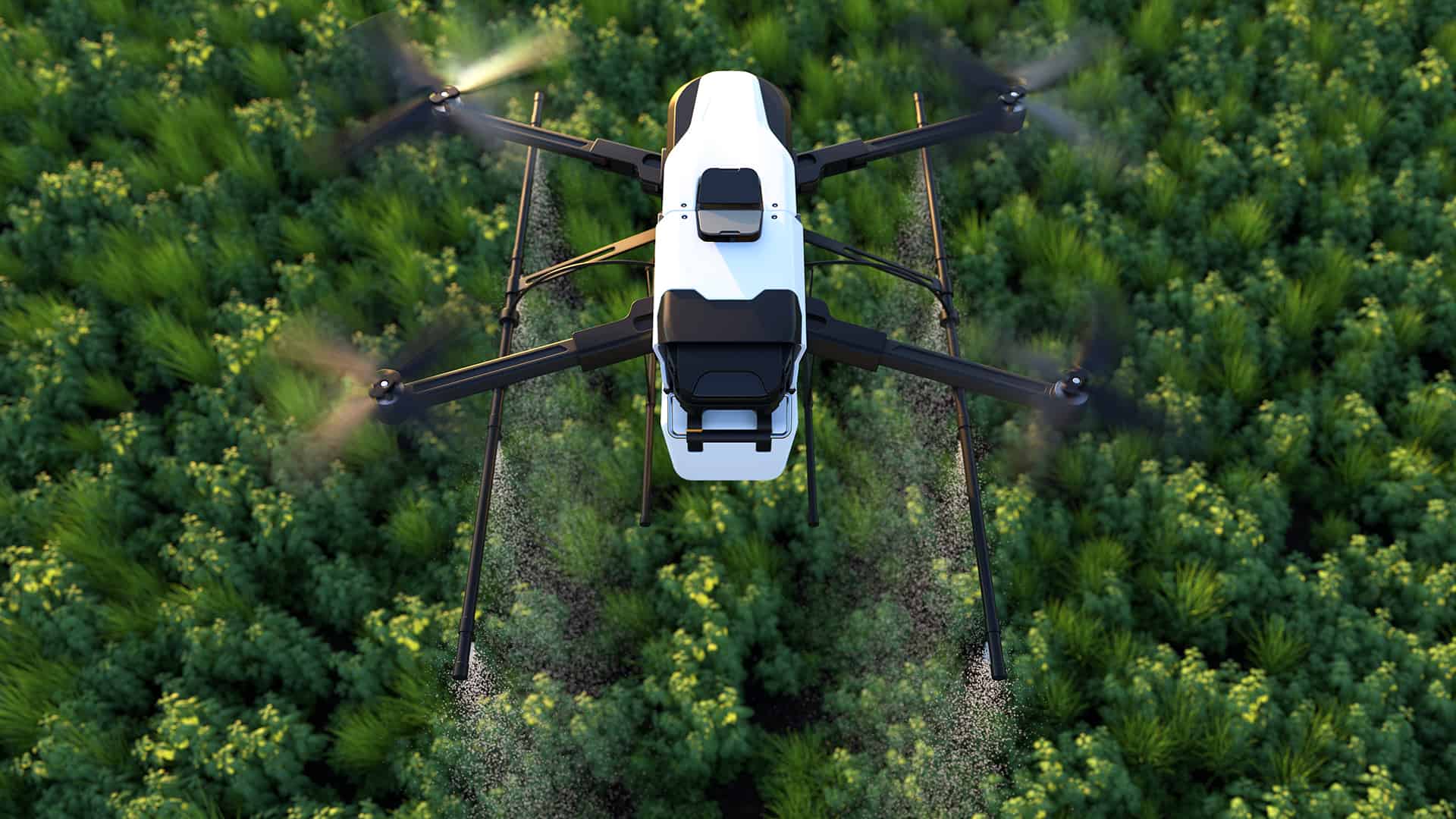 KI in der Landwirtschaft: Microsoft AI for Earth & Cloud Agronomics