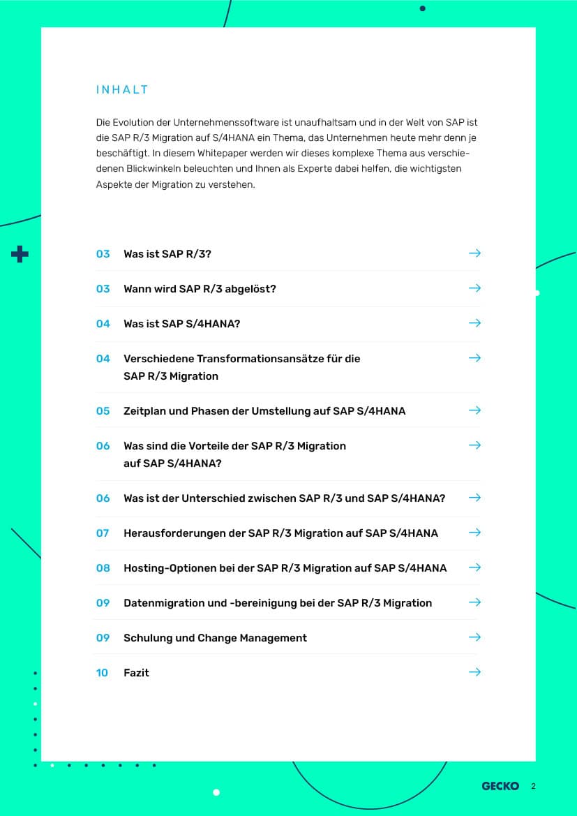 SAP R3 zu S4/HANA Migration und Transformation Whitepaper