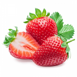freisteller_karls_erdbeeren freisteller_karls_erdbeeren